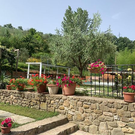 Guest House Torre Guelfa, Vinsantaia Figline Valdarno Exterior foto